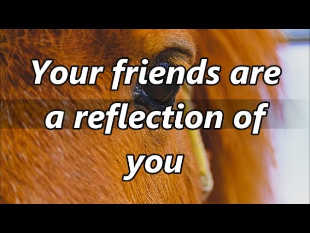 YOUR FRIENDS ARE A REFLECTION OF YOU