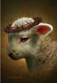 REFLECTING THE SACRIFICIAL LAMB OF GOD